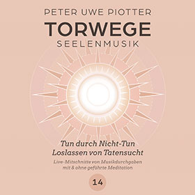 Piotter_torwege_14